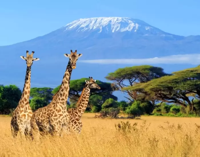 'Tour of Kilimanjaro' un recorrido en bicicleta emocionante, desafiante e inolvidable